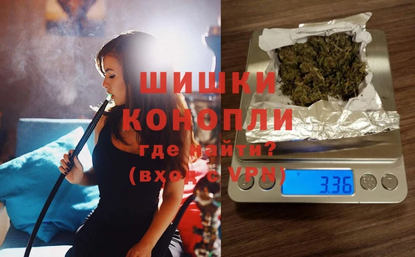 шишки Вязьма