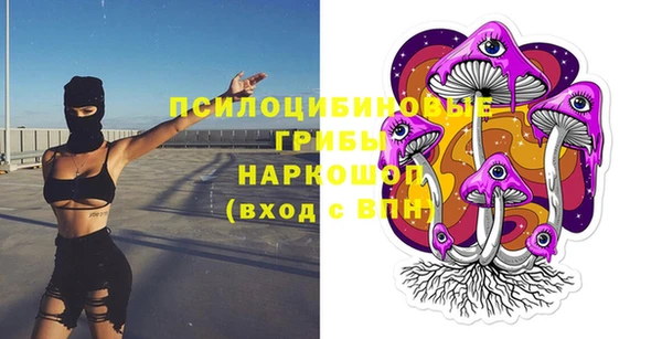мдпв Вязники